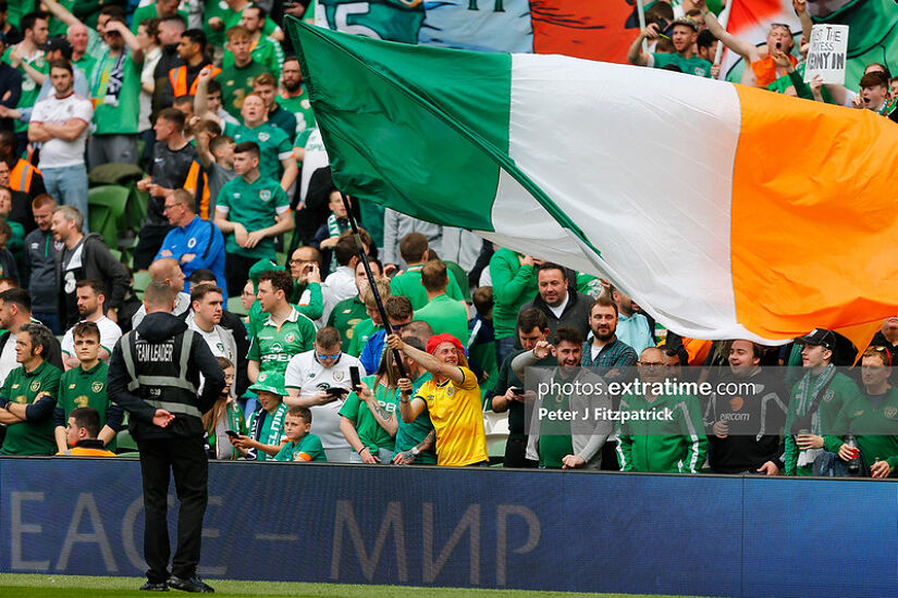 An Irish supporter waves the tricolour flag