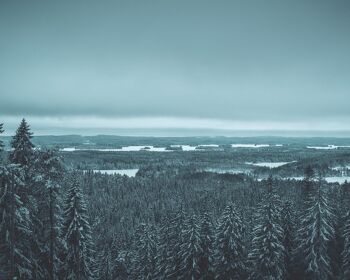 The Woodlands in Koupio, Finland