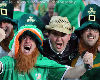 Ireland fans celebrate
