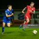 Aiden O’Brien in action against Waterford