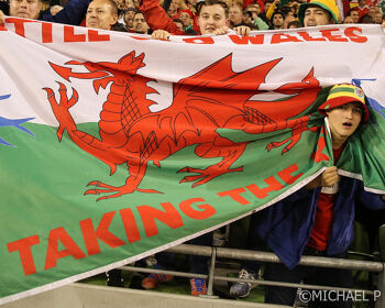 Welsh Fans
