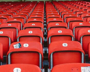 Red seats