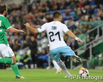 Will Grigg in action for Northern Ireland