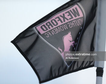 Wexford Youths flag
