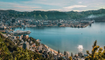 Wellington will host games in the 2023 FIFA World Cup and possibly a play-off for Ireland to get to the tournament