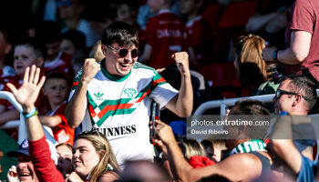 Cork City fan celebrates his sides win over Bohemians